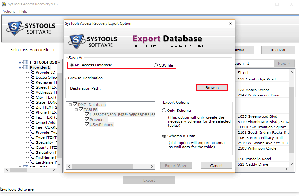 Restore Deleted Data in Access