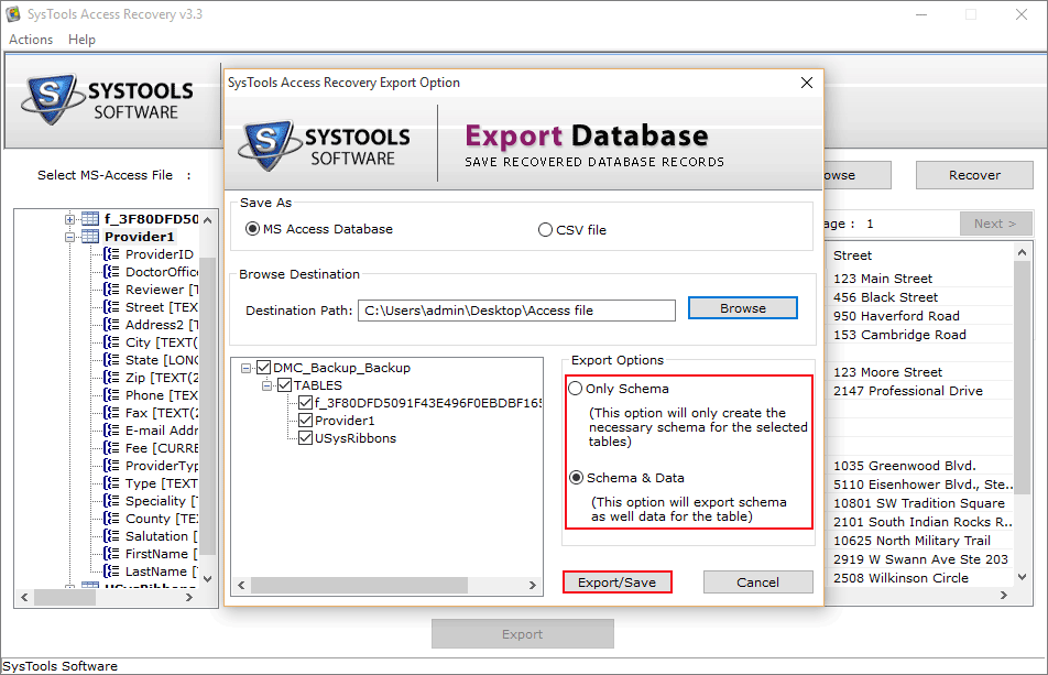 recover deleted data in Access