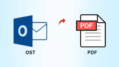 export ost file to pdf